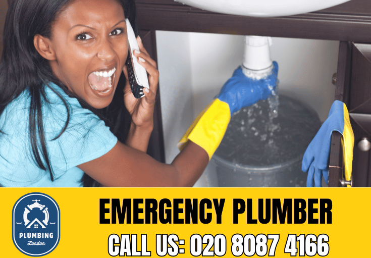 emergency plumber Uxbridge